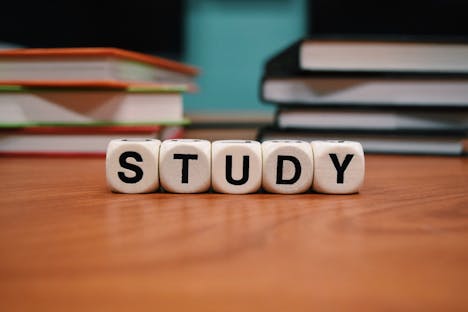 Registered Tutors with profile pictures